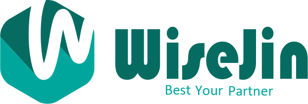 株式会社WiseJin